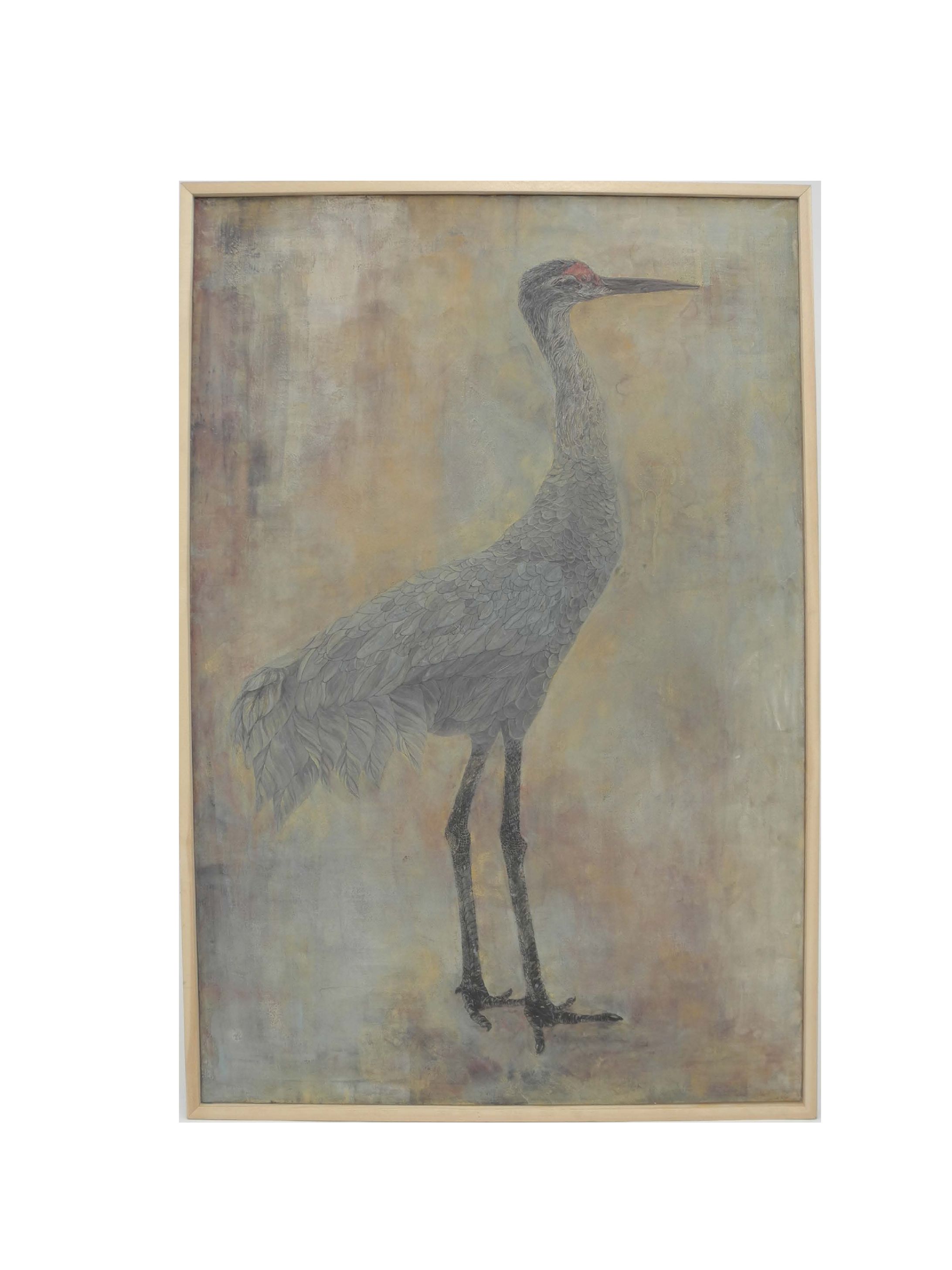 カナダ鶴　sandhill crane-1