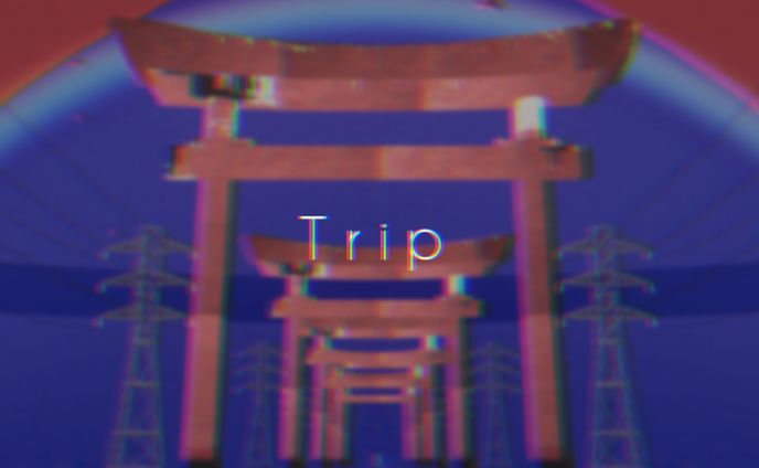 Trip