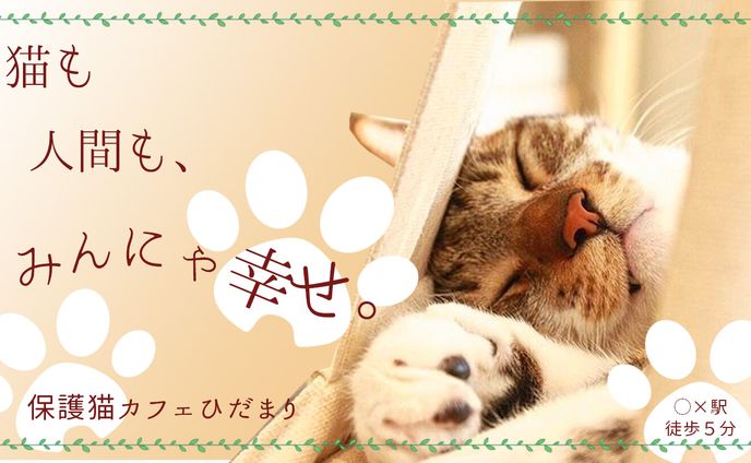 保護猫カフェ