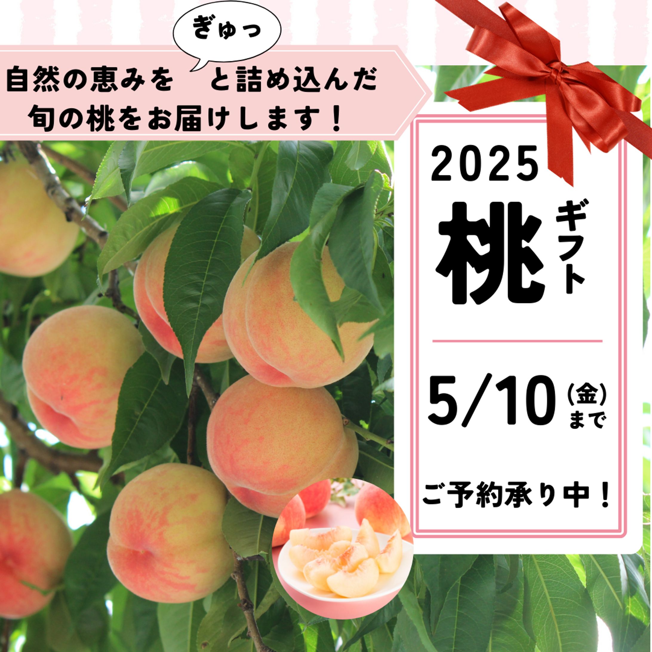 もも-1