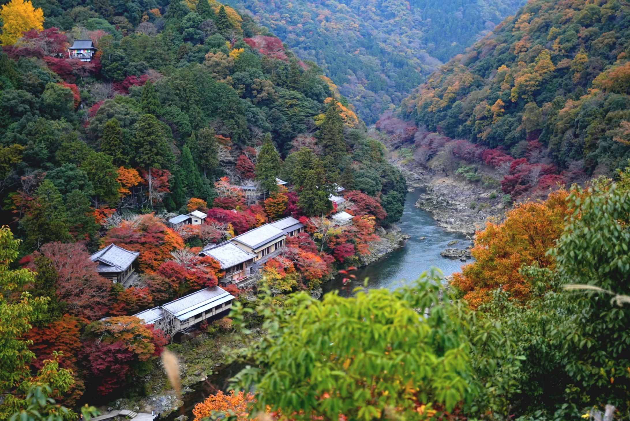 嵐山-1