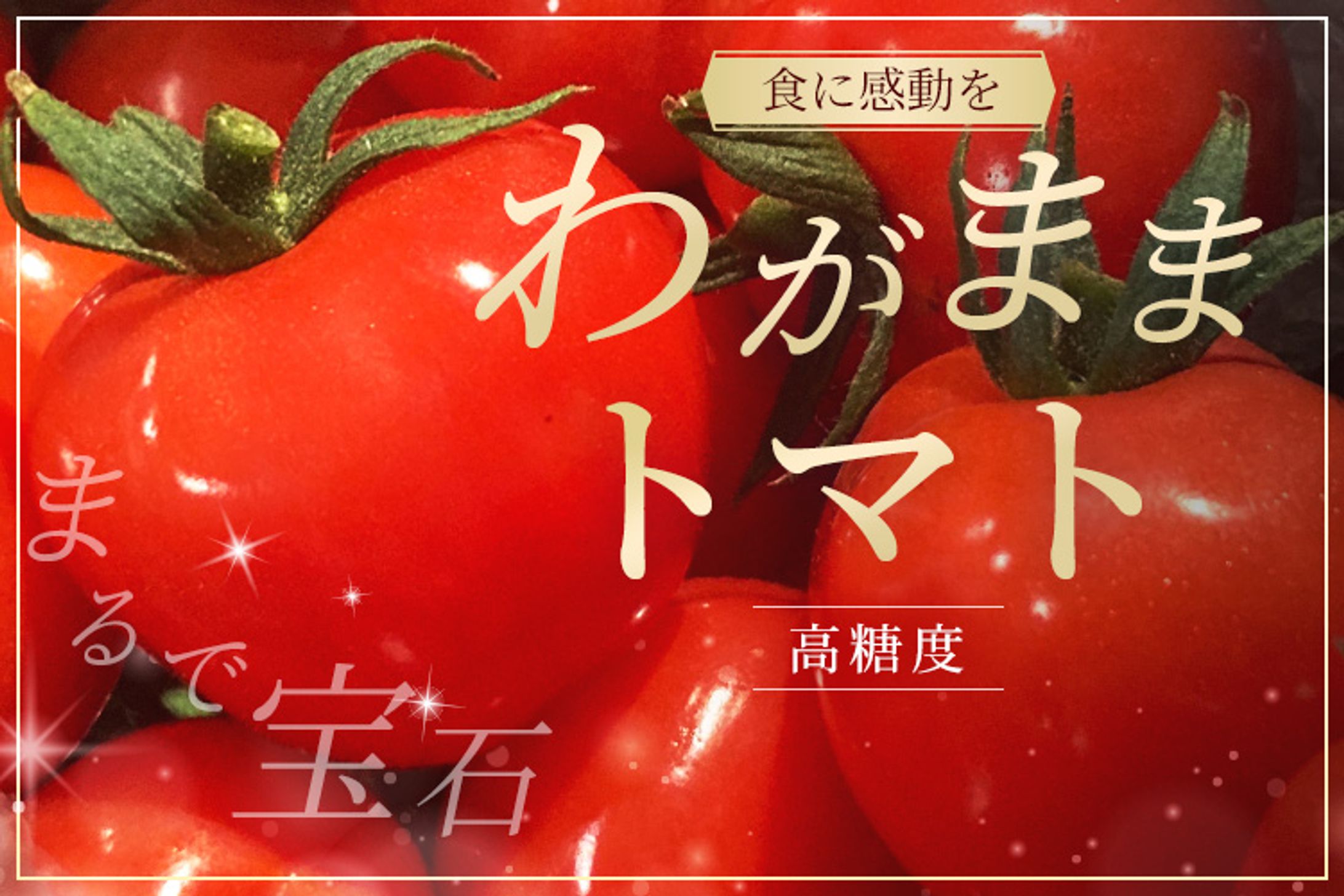 【実案件】わがままトマト-1