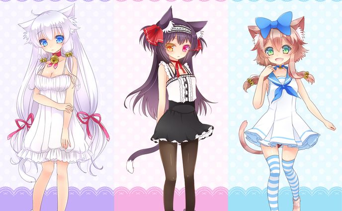 「ましろさん家の猫達」制作関連