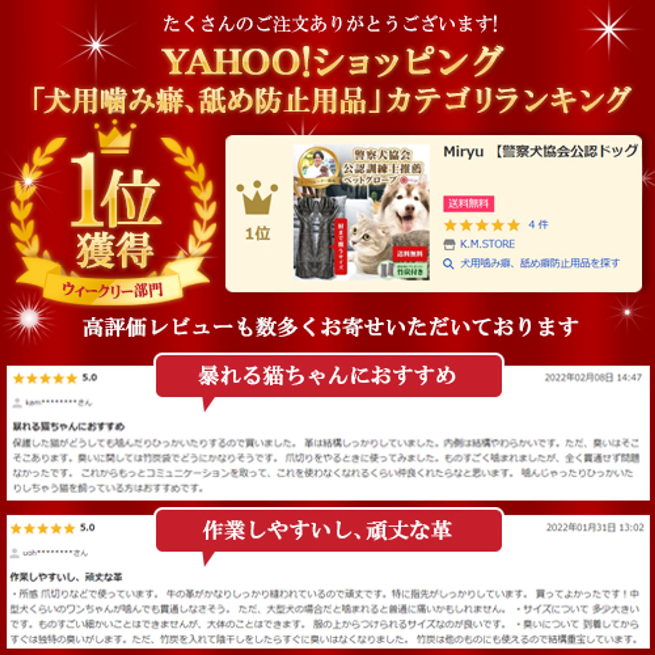 Yahoo!ランキング画像-1