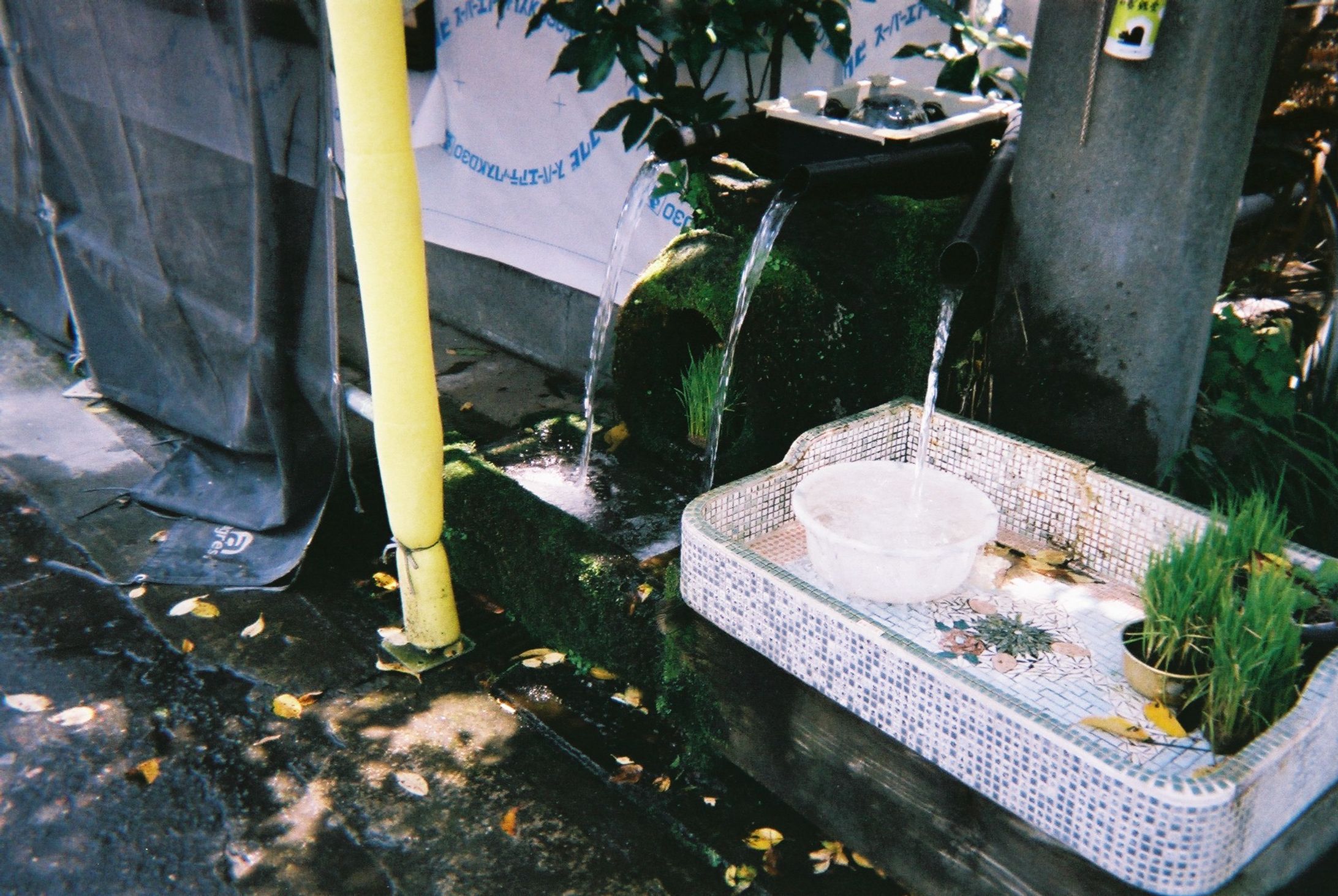photo/kumamoto-1