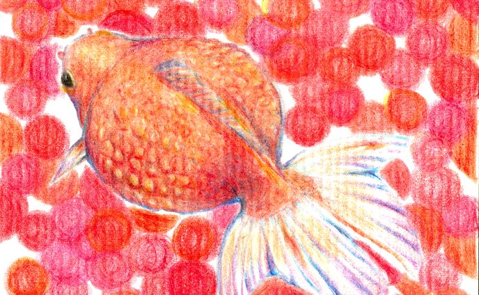 【ATC】ピンポンパール