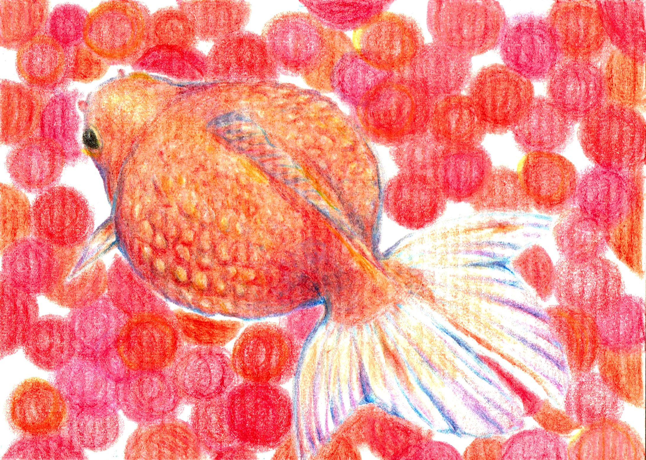 【ATC】ピンポンパール-1