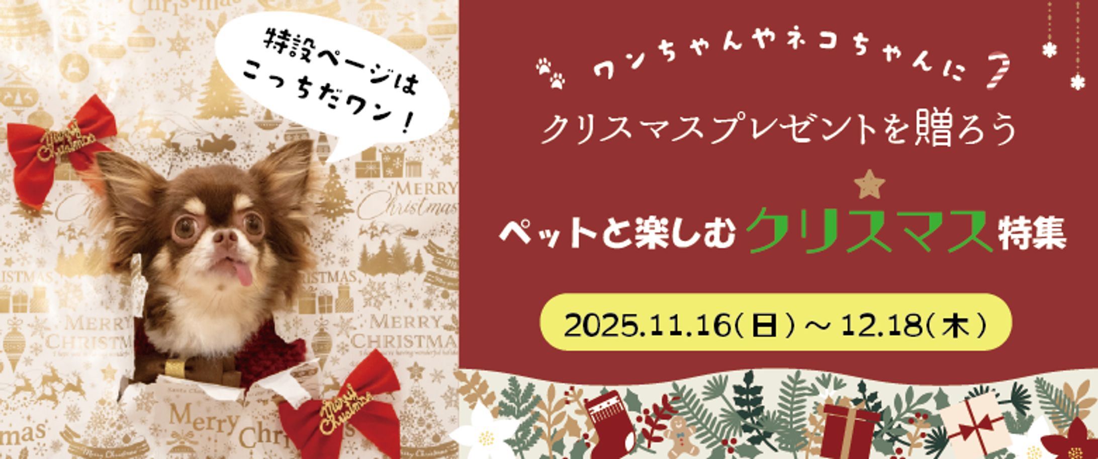 ペットと楽しむクリスマス特集バナー-1