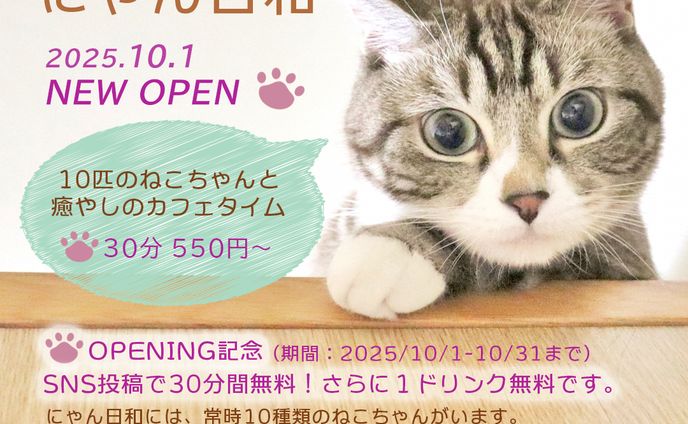 ねこカフェバナー
