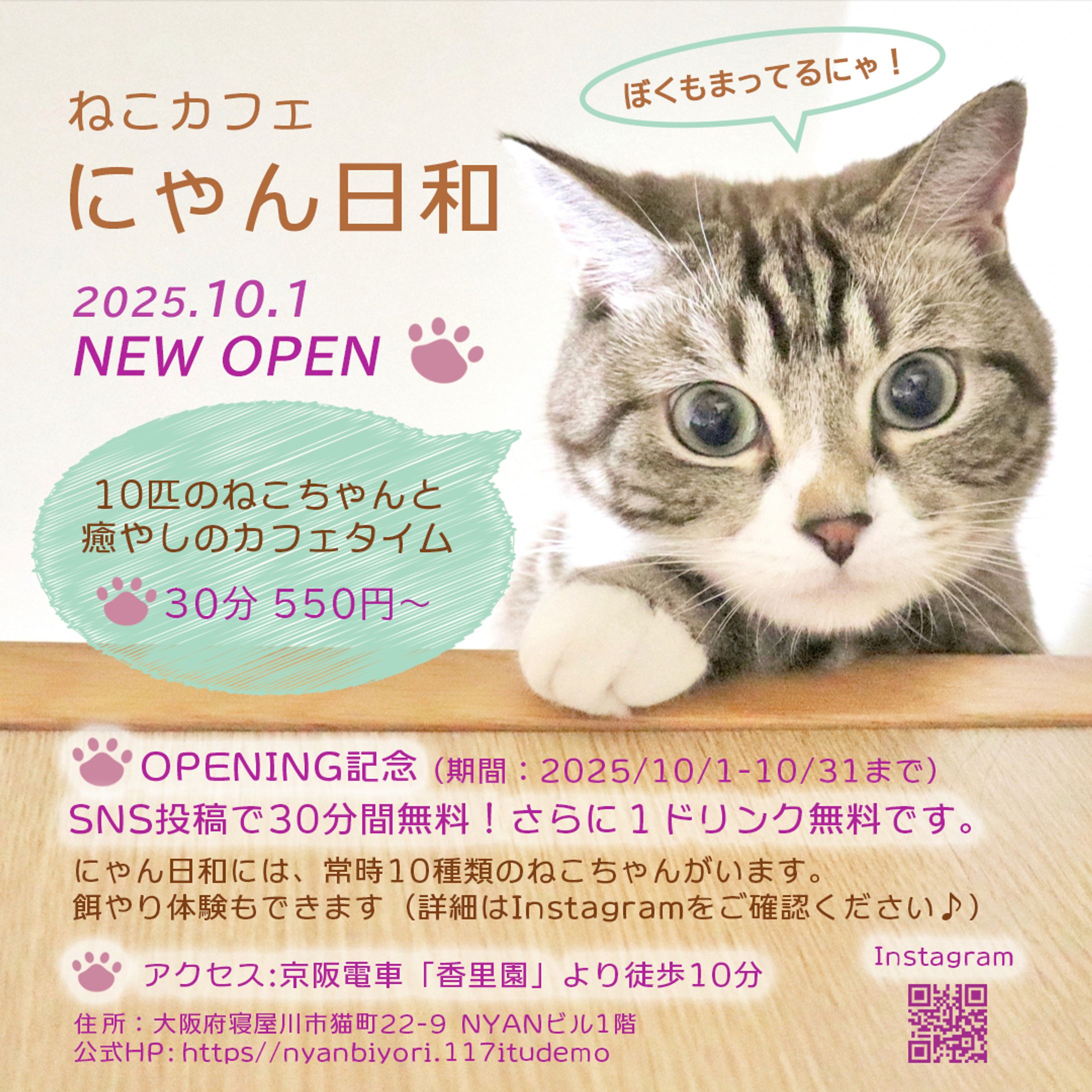 ねこカフェバナー-1