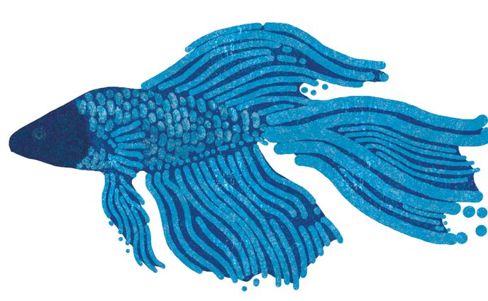 生物イラスト