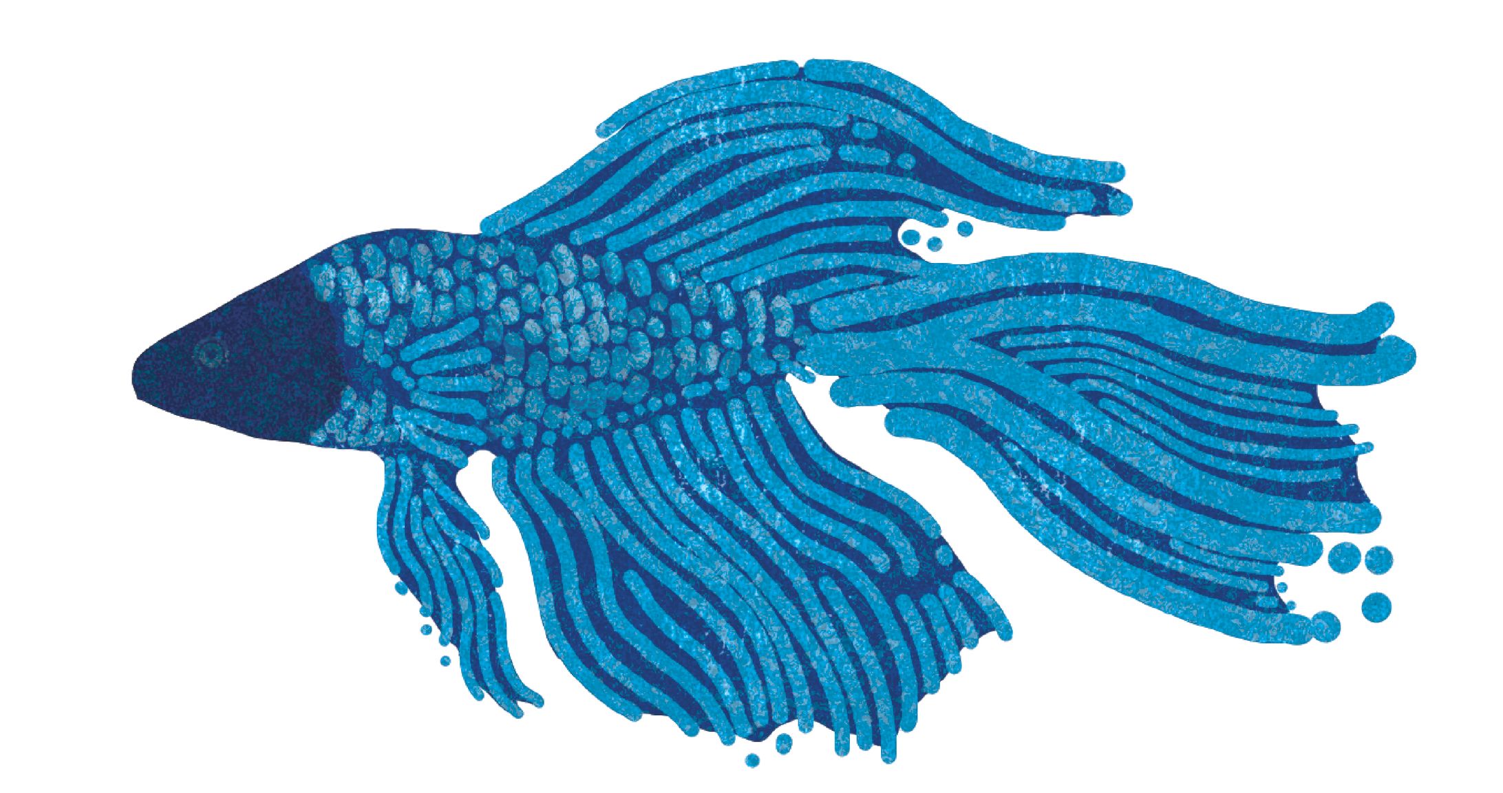 生物イラスト-1