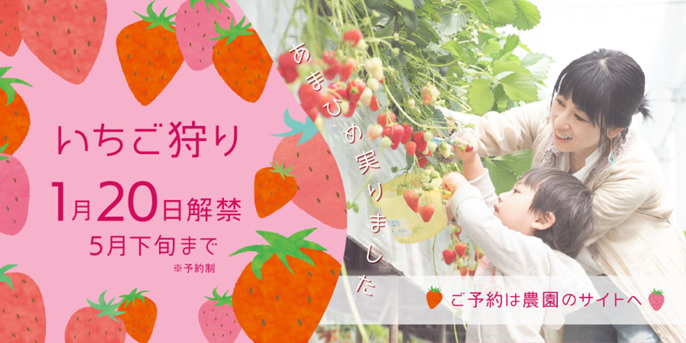 いちご狩り メルマガヘッダー-1