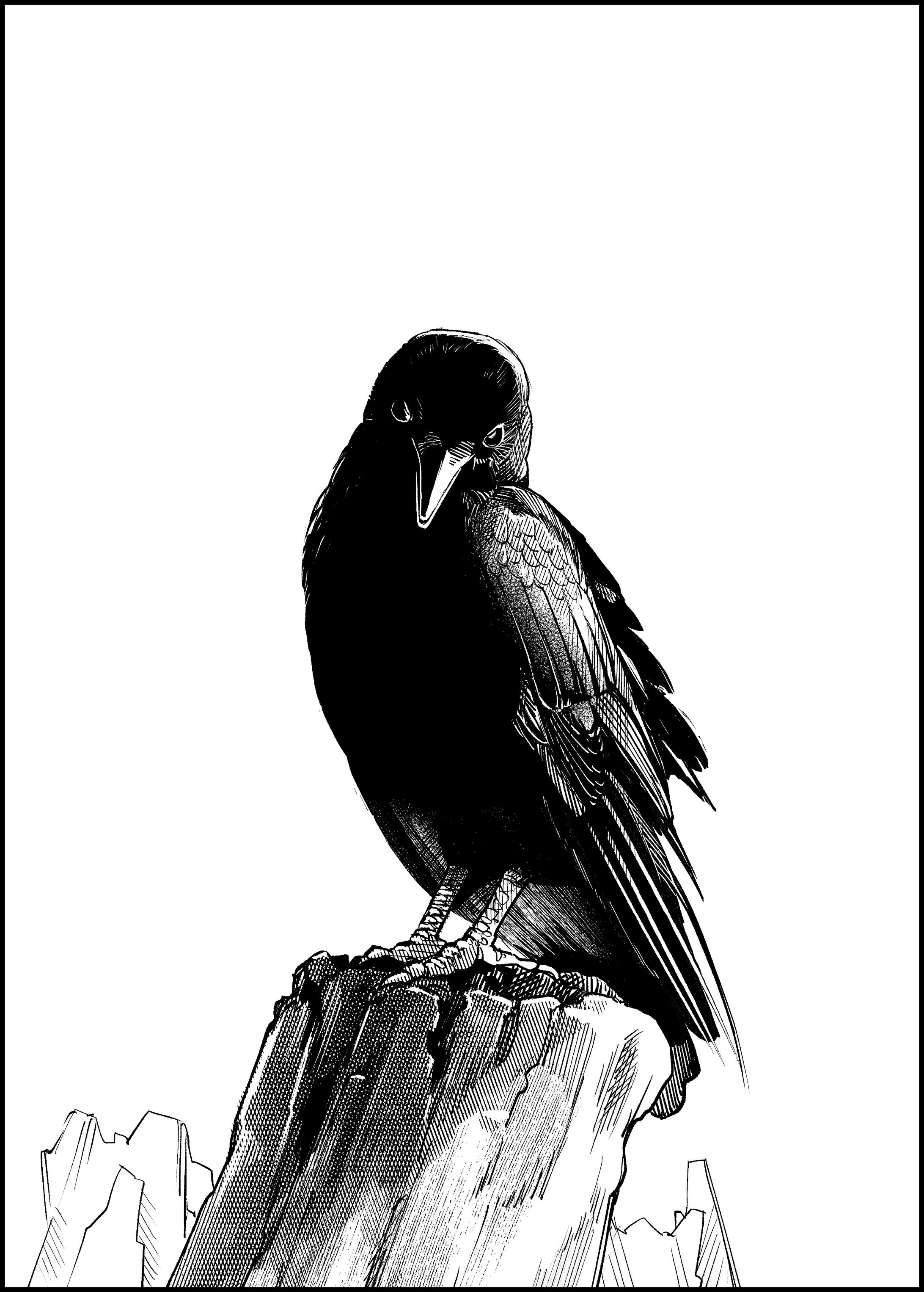 鳥-1