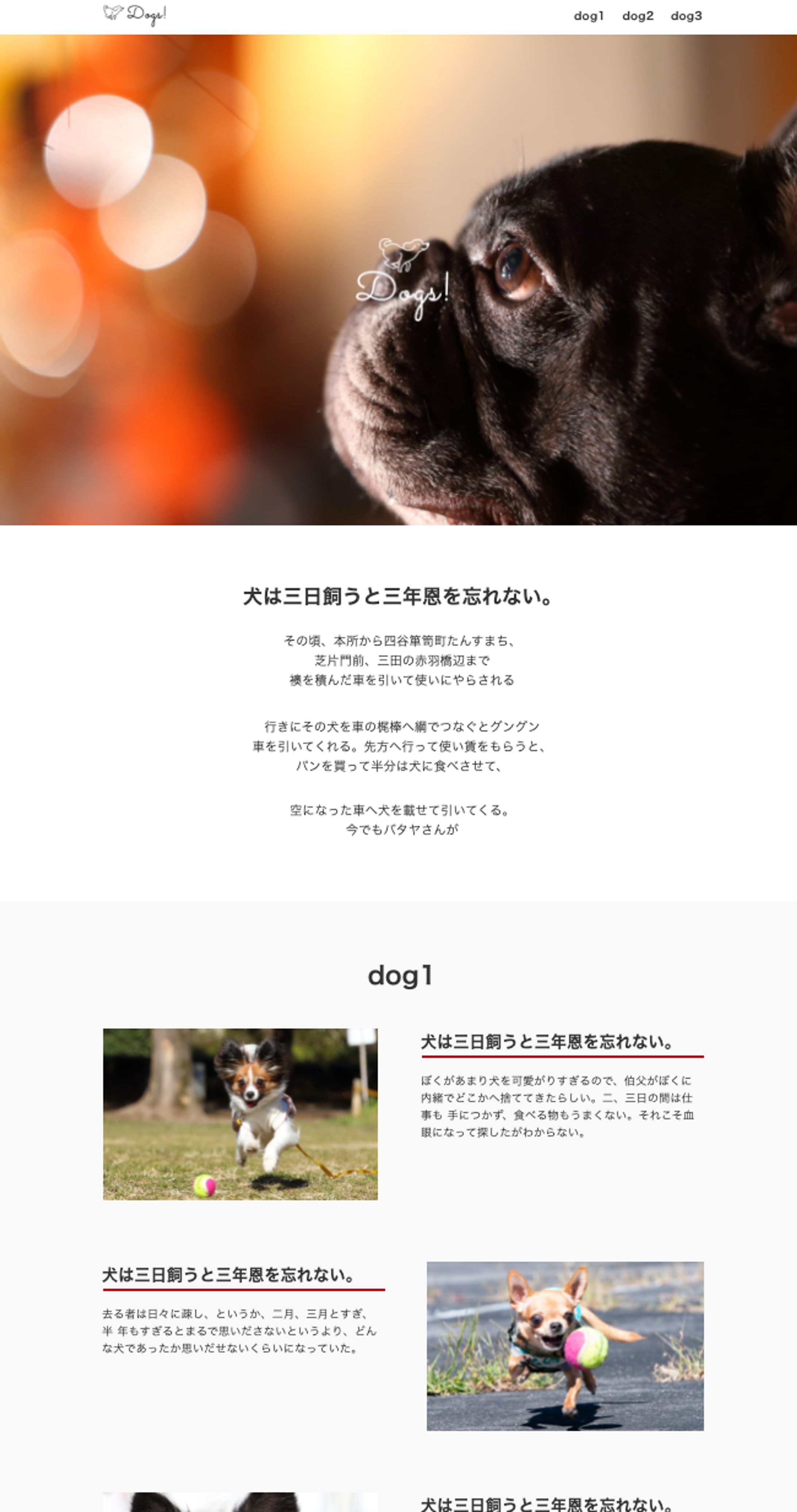 I am dog__demosite-1
