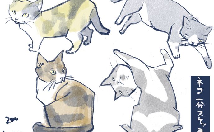 2021年秋　猫