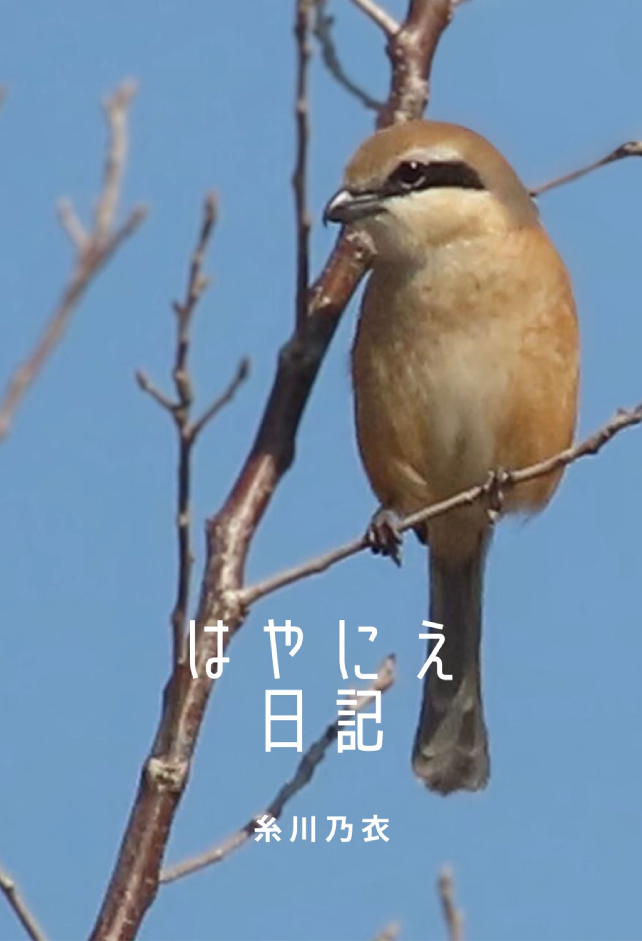 はやにえ日記-1