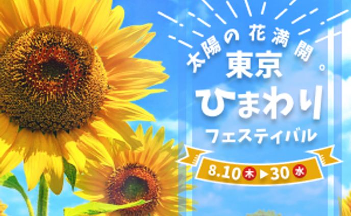 web、物撮り