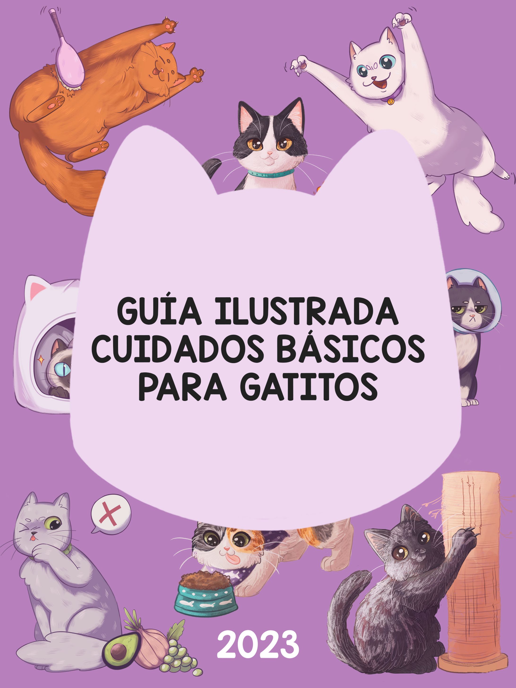 Guía ilustrada cuidados básicos para gatitos-1