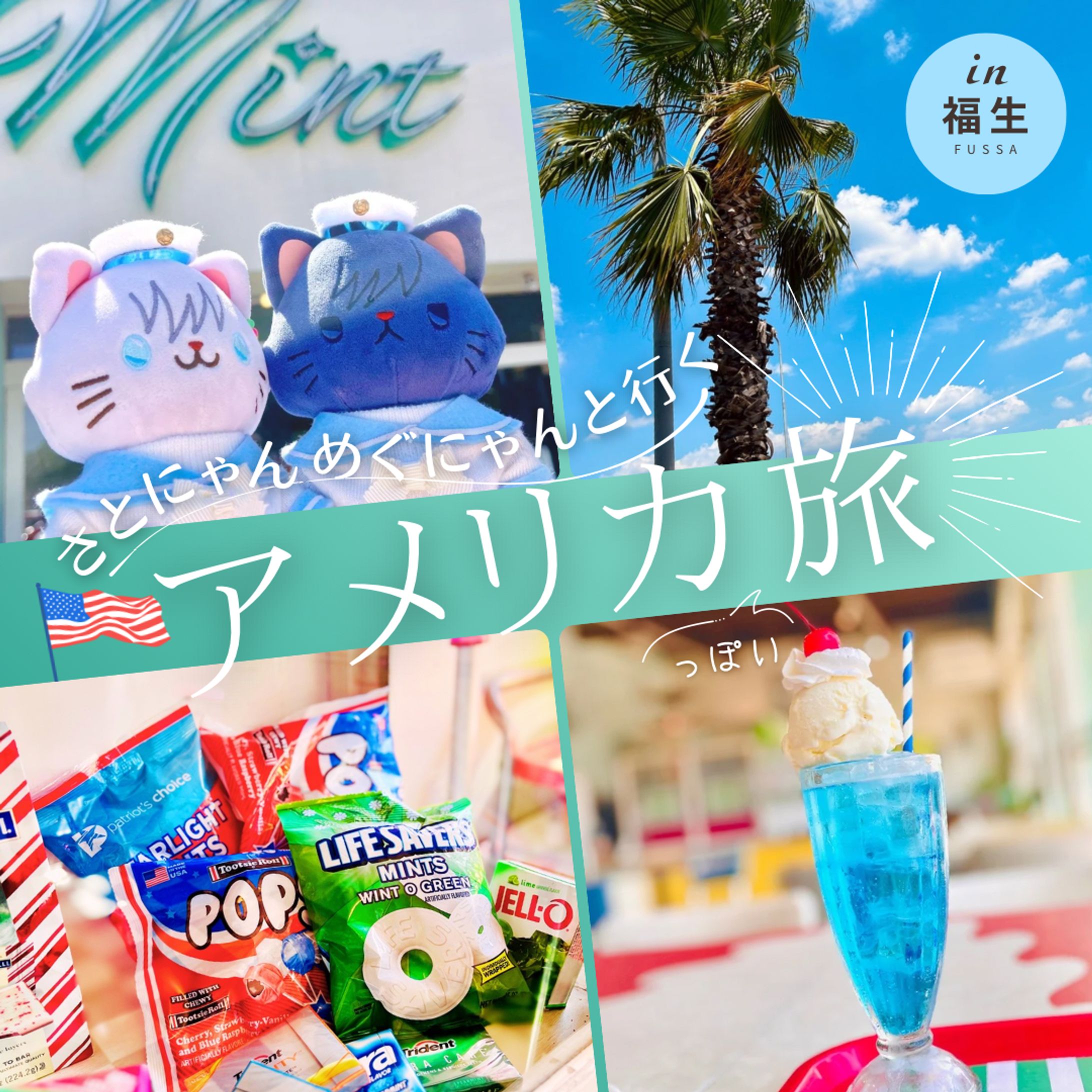 にゃんずのアメリカ旅-1