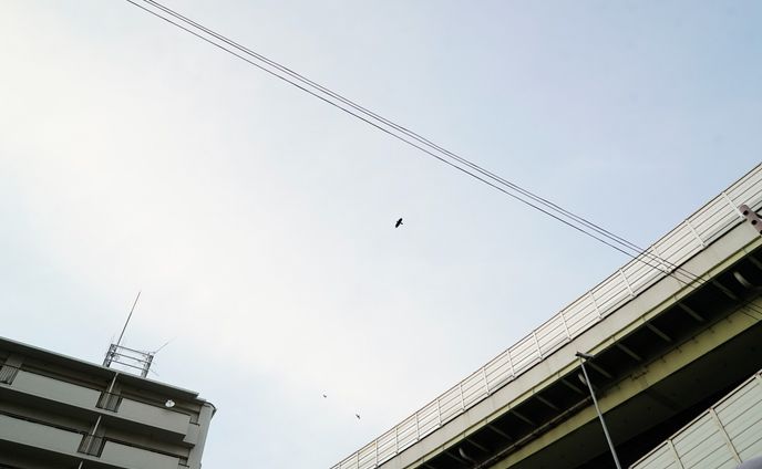 street snap