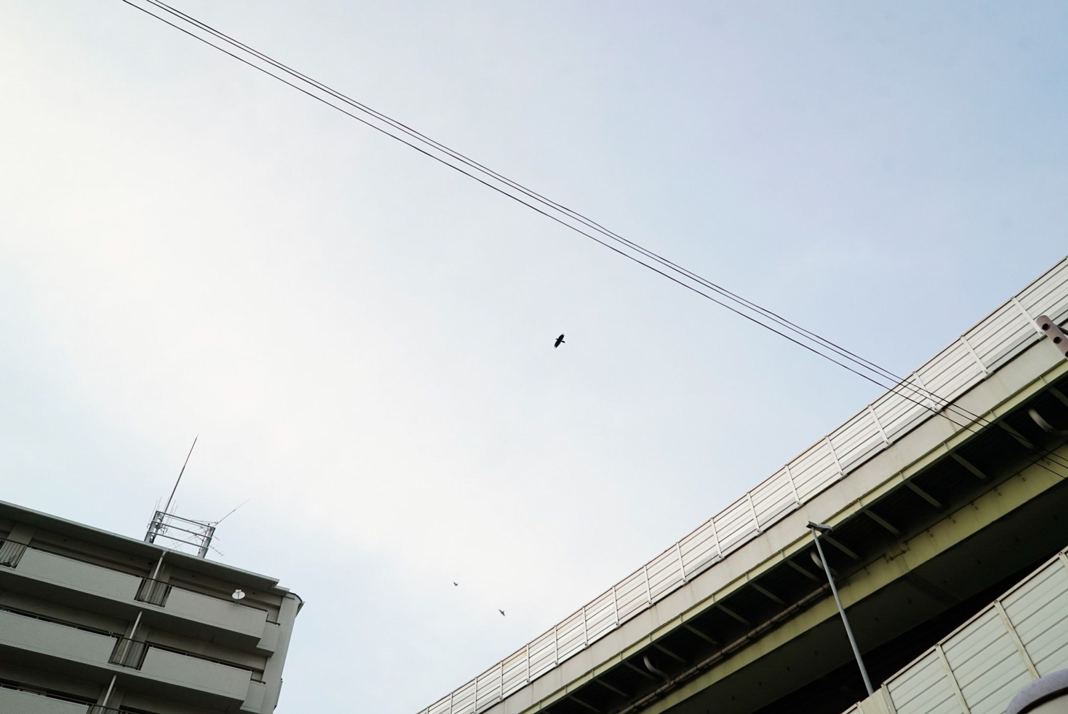 street snap-1