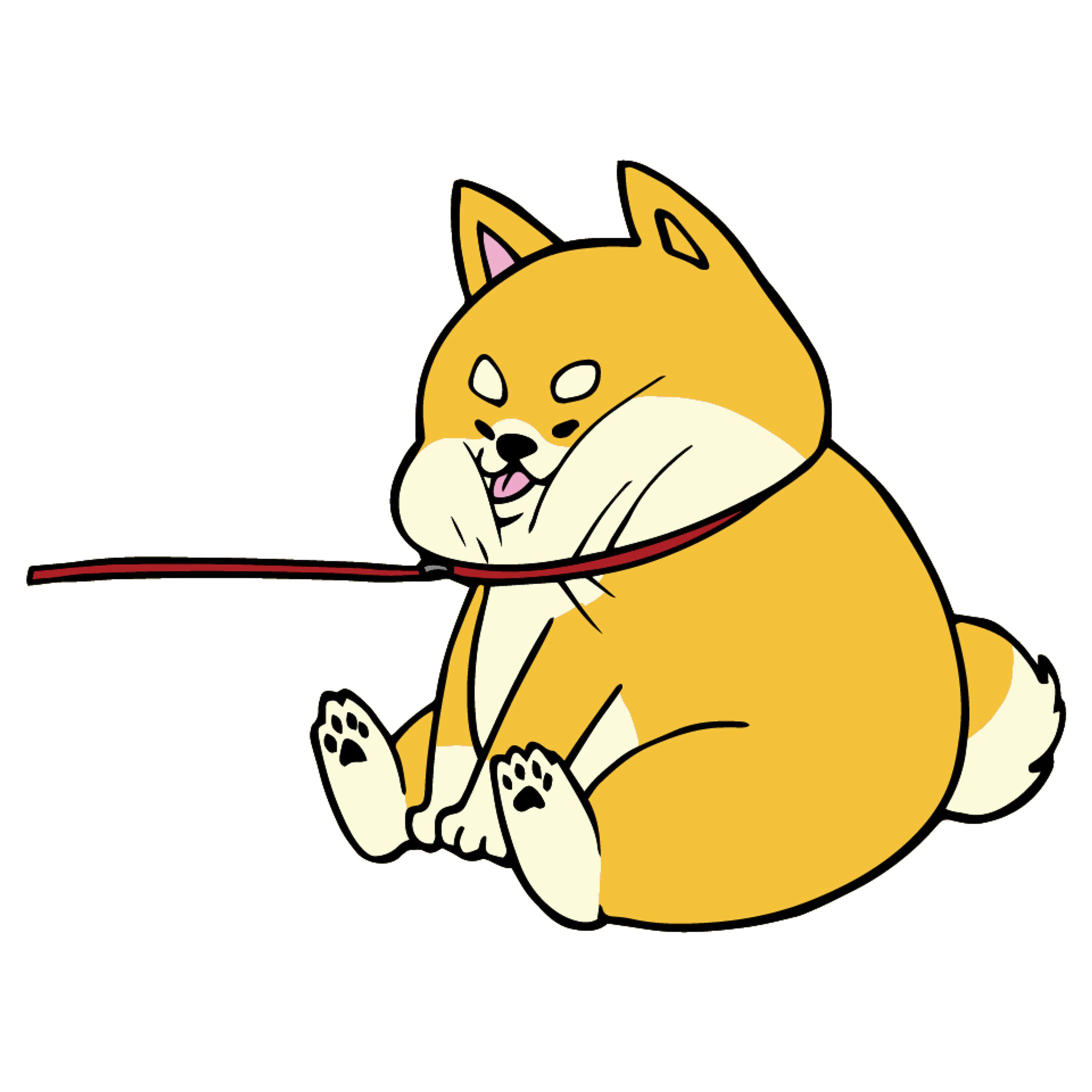 散歩いや柴犬-1