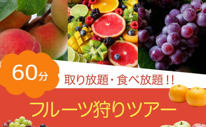 バナー：フルーツ狩り