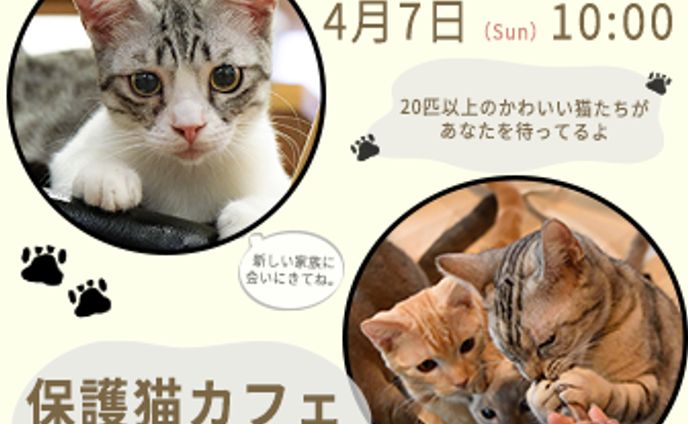 練習バナー　保護猫カフェオープン告知バナー