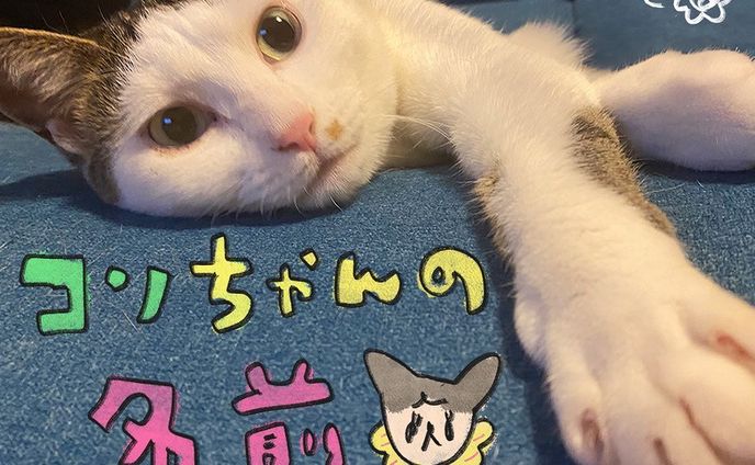 5/29、コンニャクの日はコンちゃんの誕生日ということでコンちゃんの名前候補を漫画でまとめました🐱
これ描いてて思ったのは、みんにゃの名前の由来や候補気になるー🤩

#絵日記#茶白 #茶白猫 #キジ白 #サバ白 #キジシロ#はちわれ #はちわれねこ #ヅラ猫 #にゃんすたぐらむ #ねこすたぐらむ #猫のいる暮らし #猫好きさんと繋がりたい #cat#catstagram #保護猫と暮らす#치즈냥#고등어고양이#redtabbyandwhite #마스크 #고등어태비#고등어태비 #육묘일기#猫漫画#catillustration#コミックエッセイ#エッセイ漫画