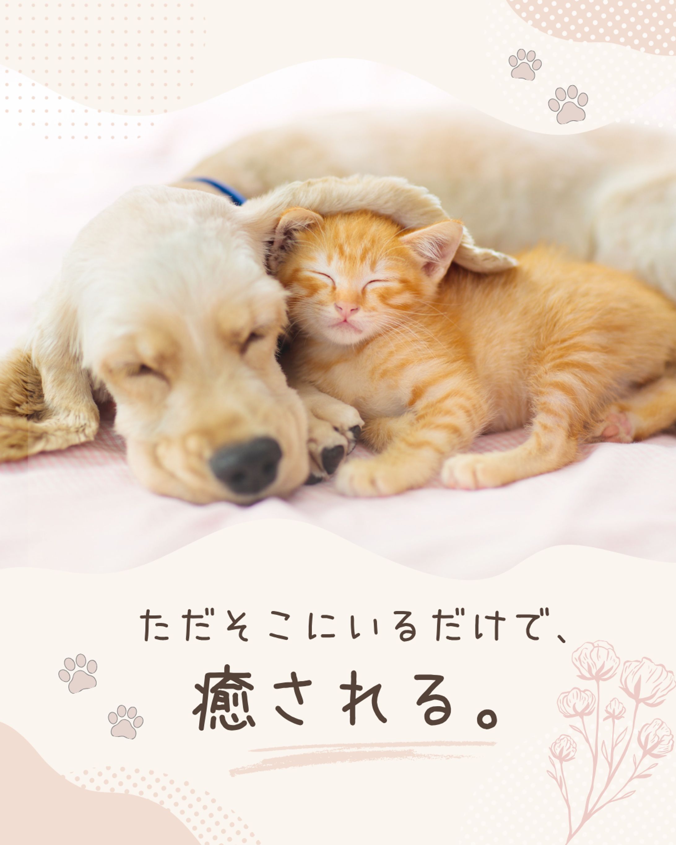 ペットのバナーデザイン-1