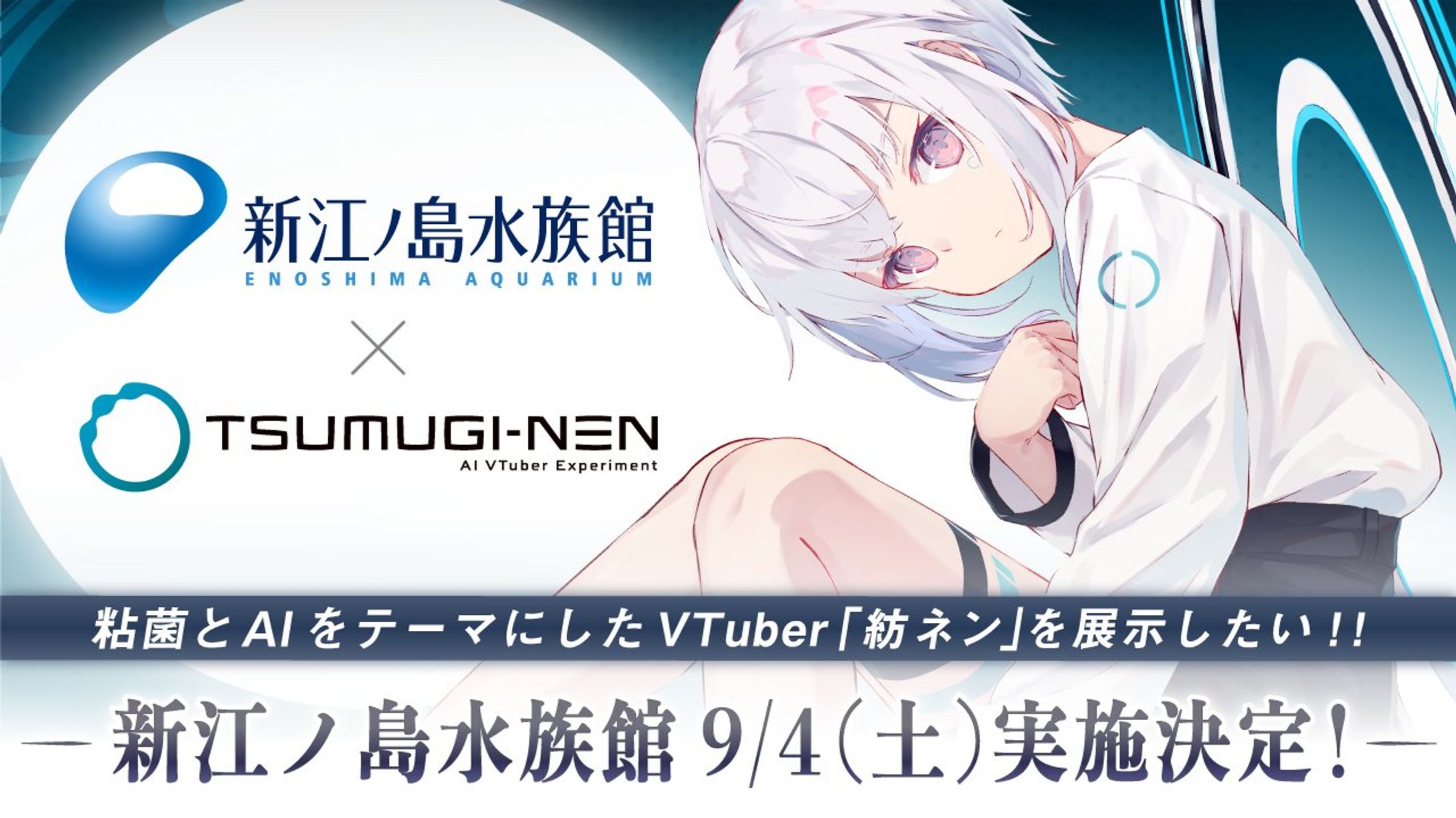 紡ネン - 新江ノ島水族館 コラボ展示 バナーデザイン-1