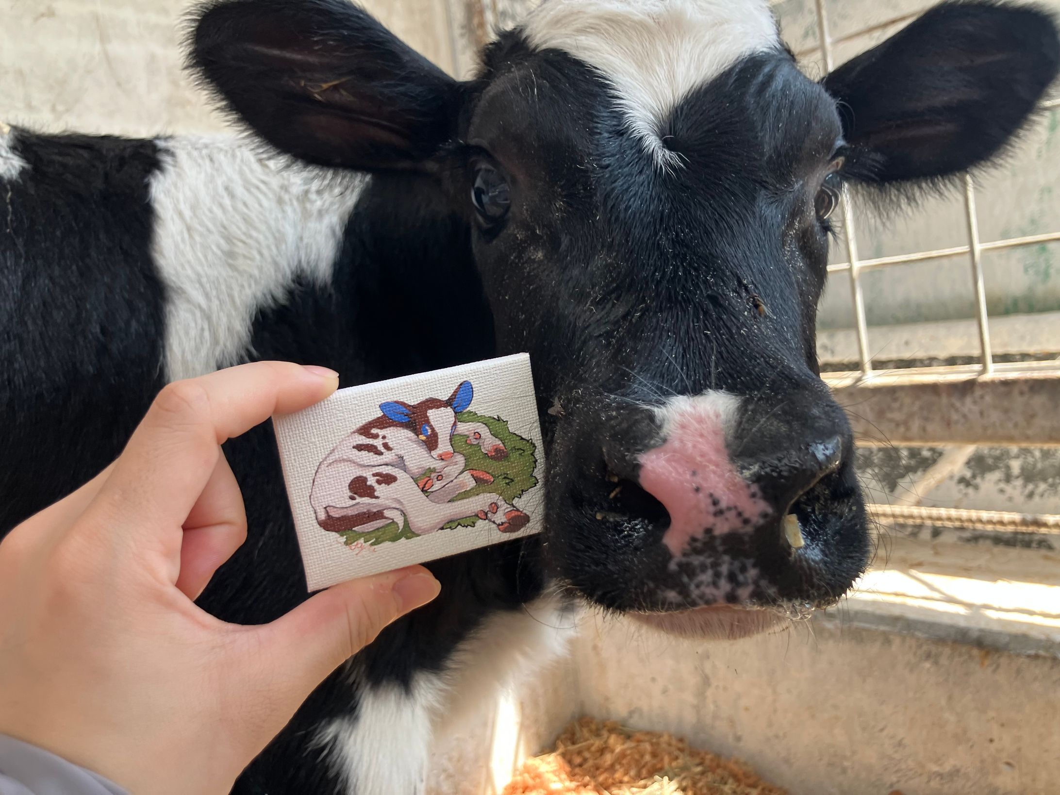 牛のミニキャンバス-1