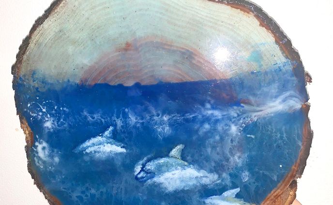 天草五和のイルカたち（天草市）