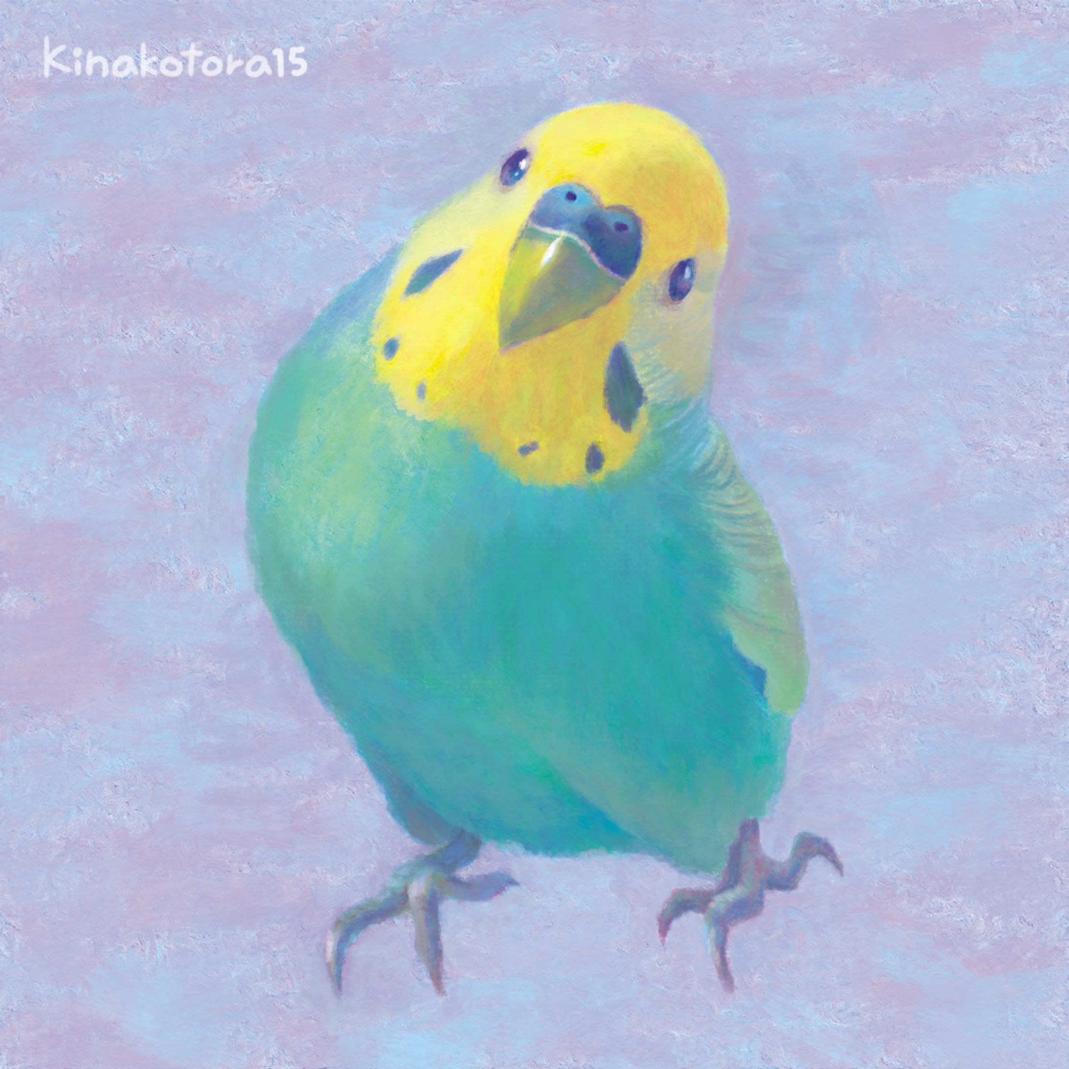 鳥の似顔絵/インコ-1