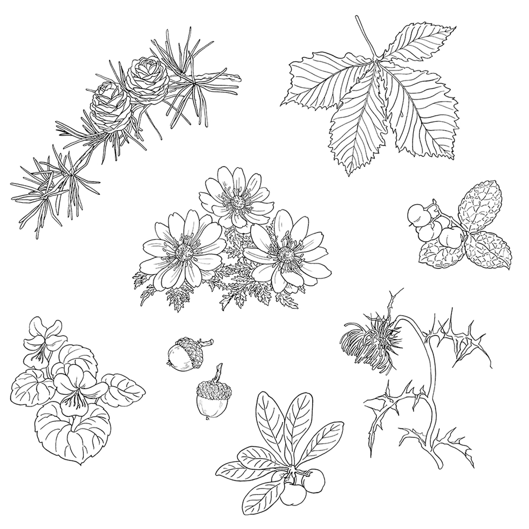 八ヶ岳診療日記 装画・挿画-1