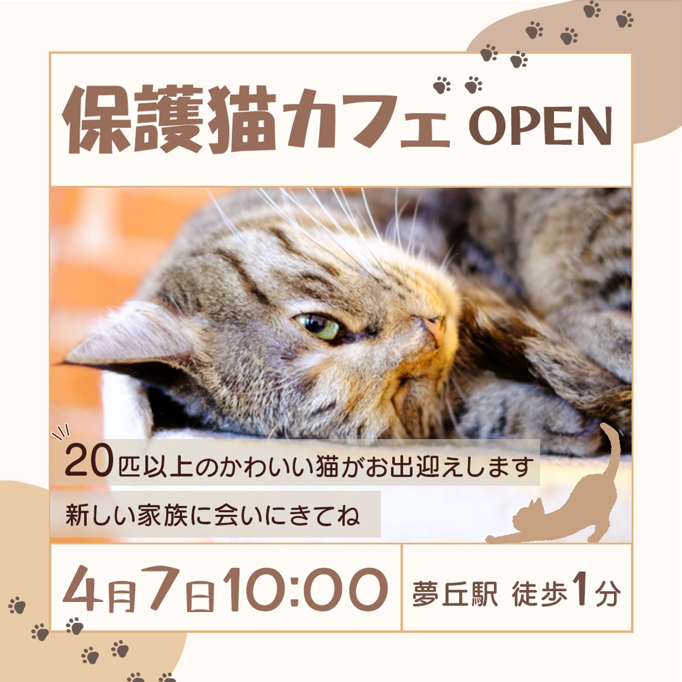 バナー：猫カフェ-1