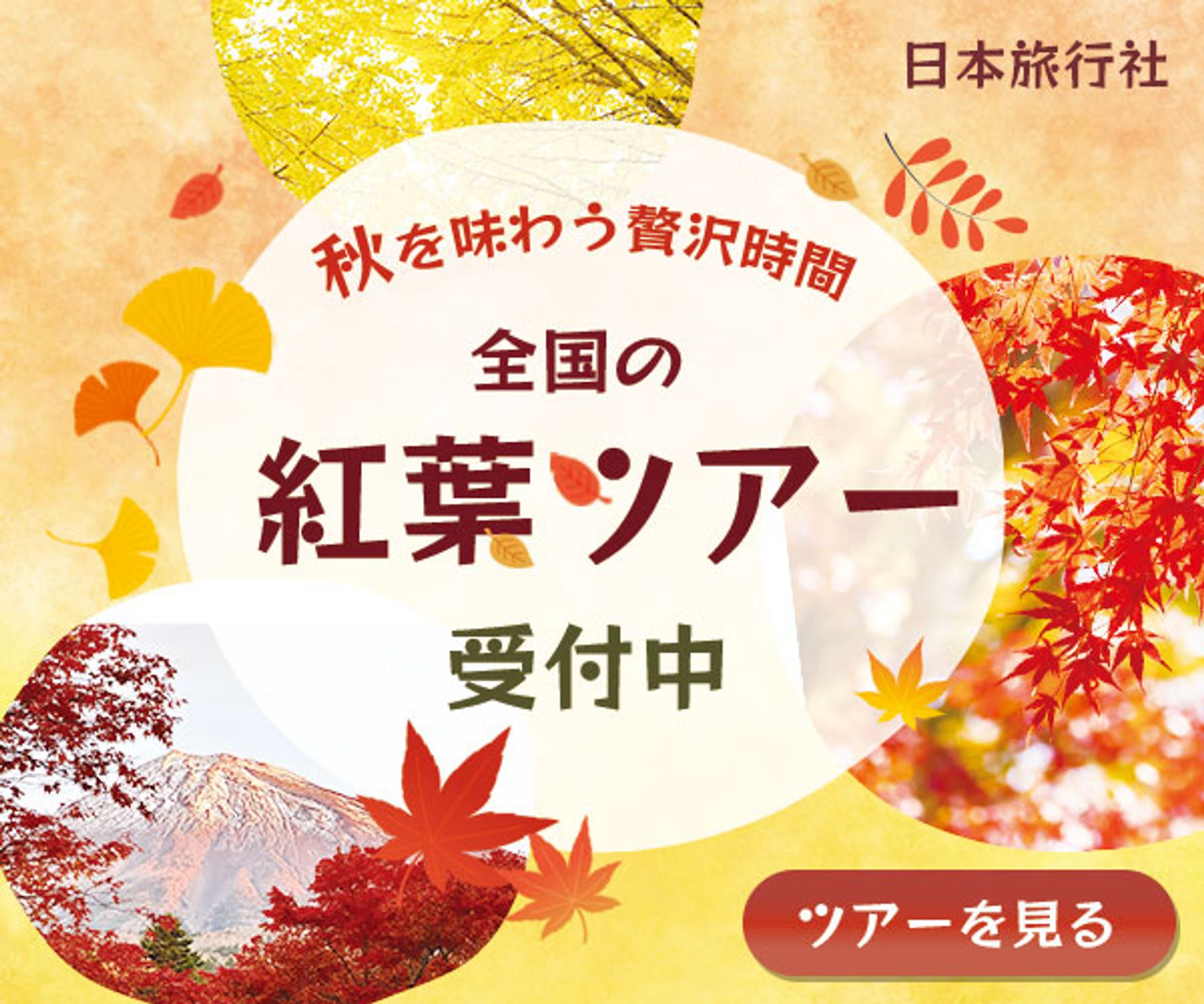 バナー：紅葉ツアー-1