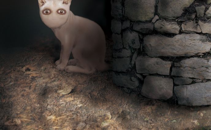SCP-040-JP