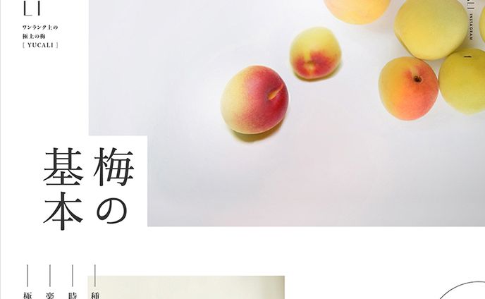 LP(webデザイン)