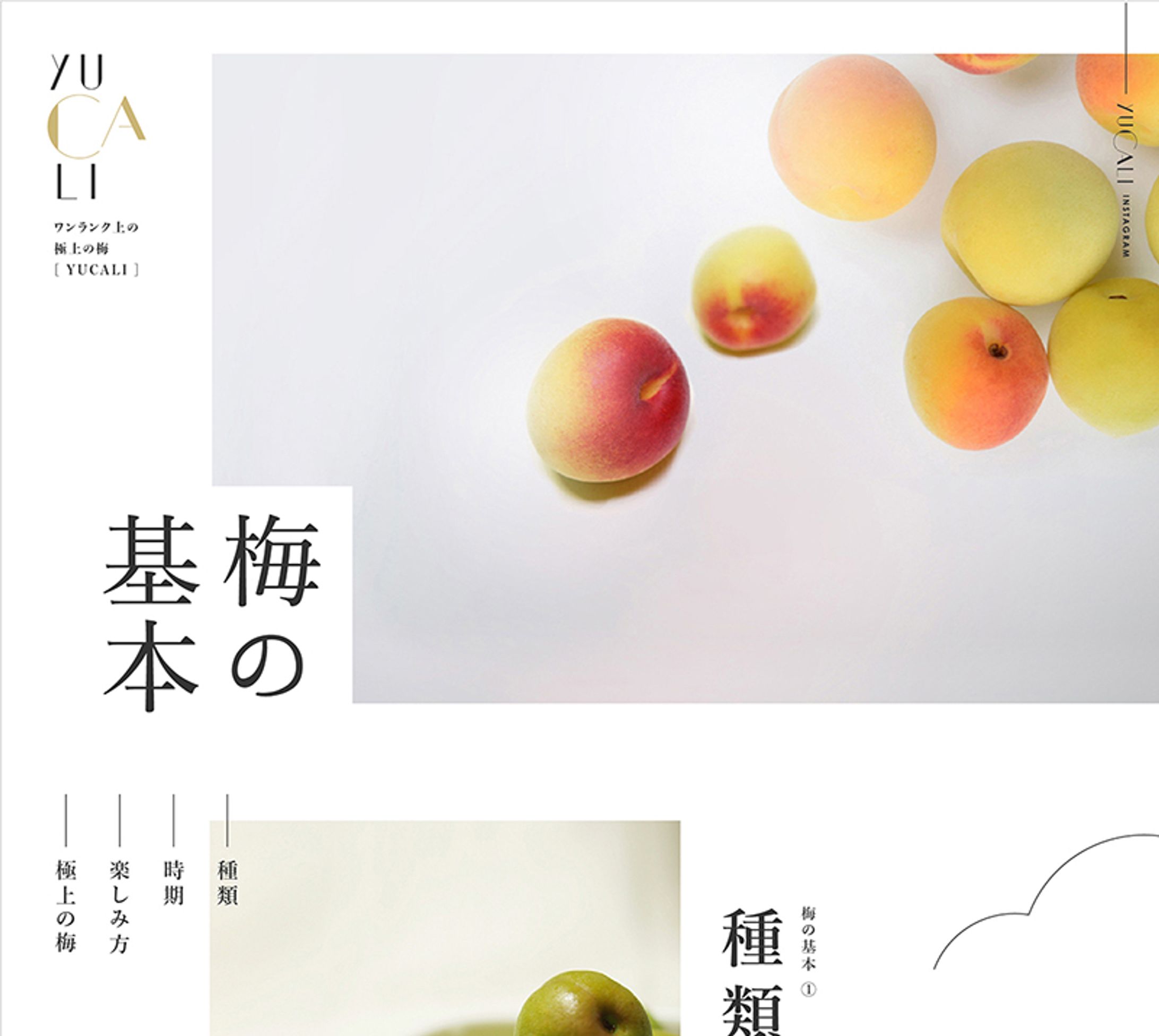 LP(webデザイン)-1