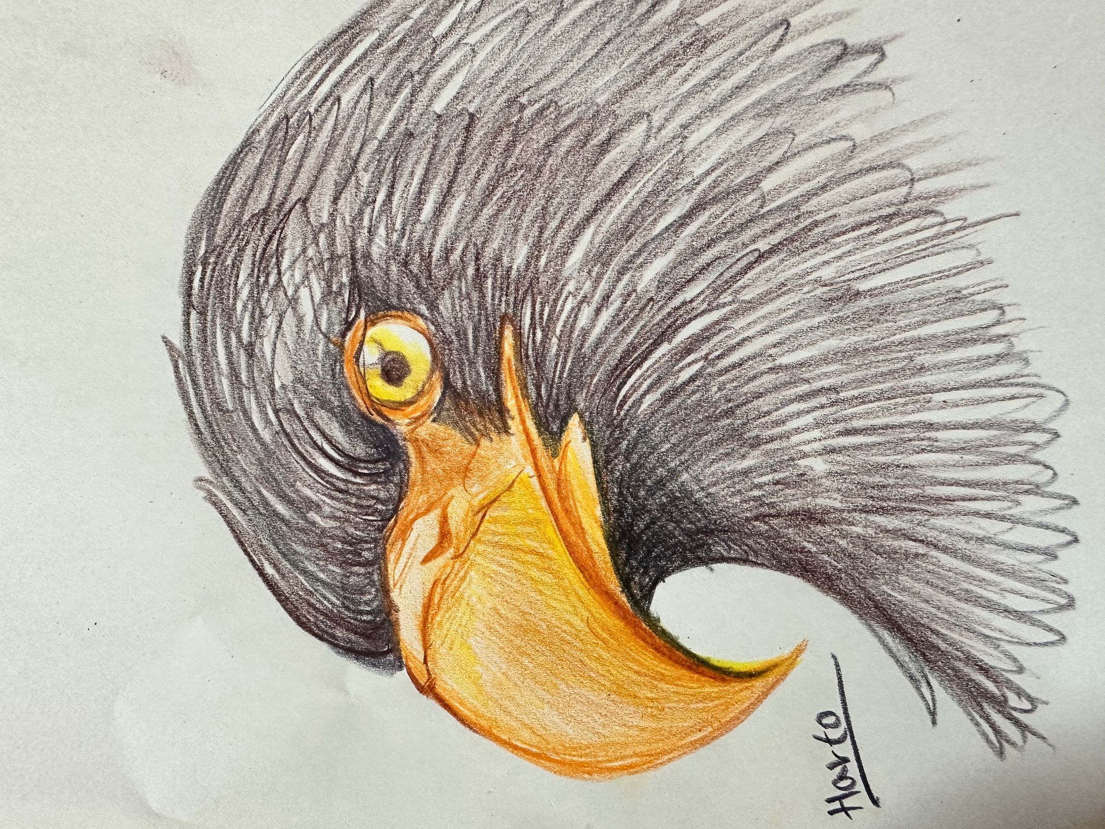 鳥-1