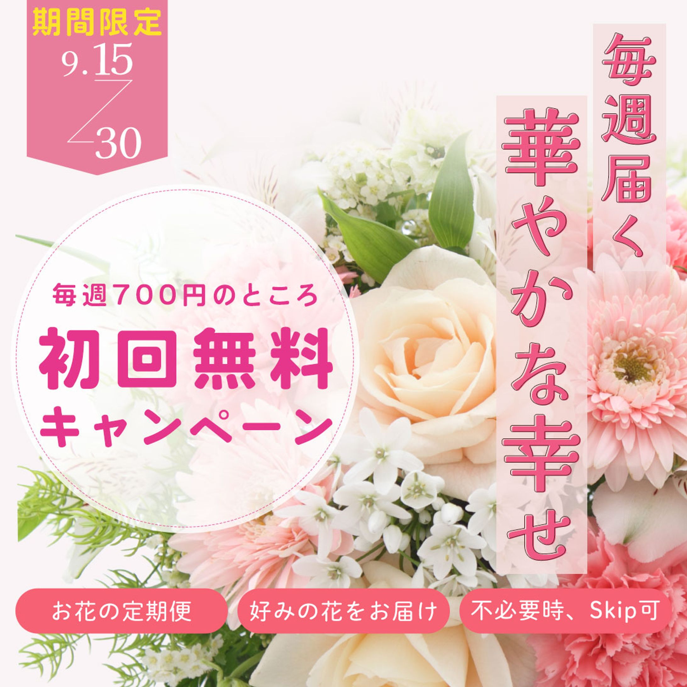 花の定期便(バナー)-1
