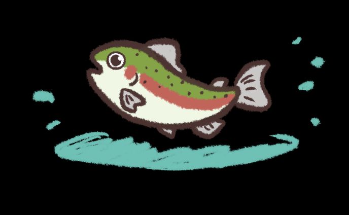 ニジマス（イラスト制作）