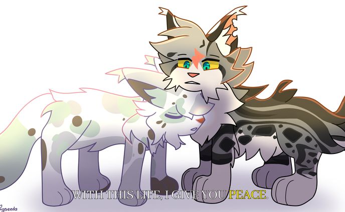 sagestar and lynxcrash