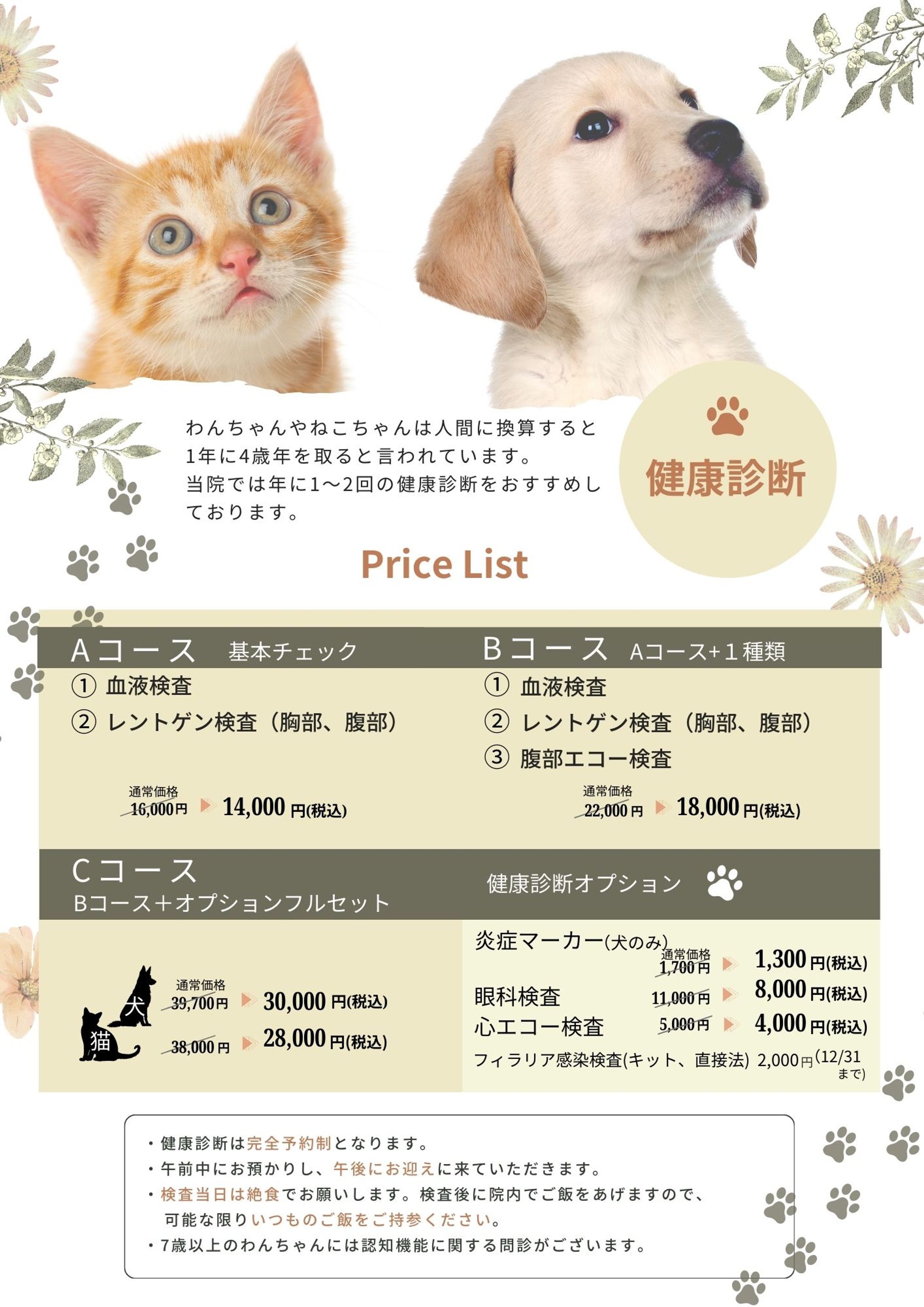 チラシ_ペット健康診断-1