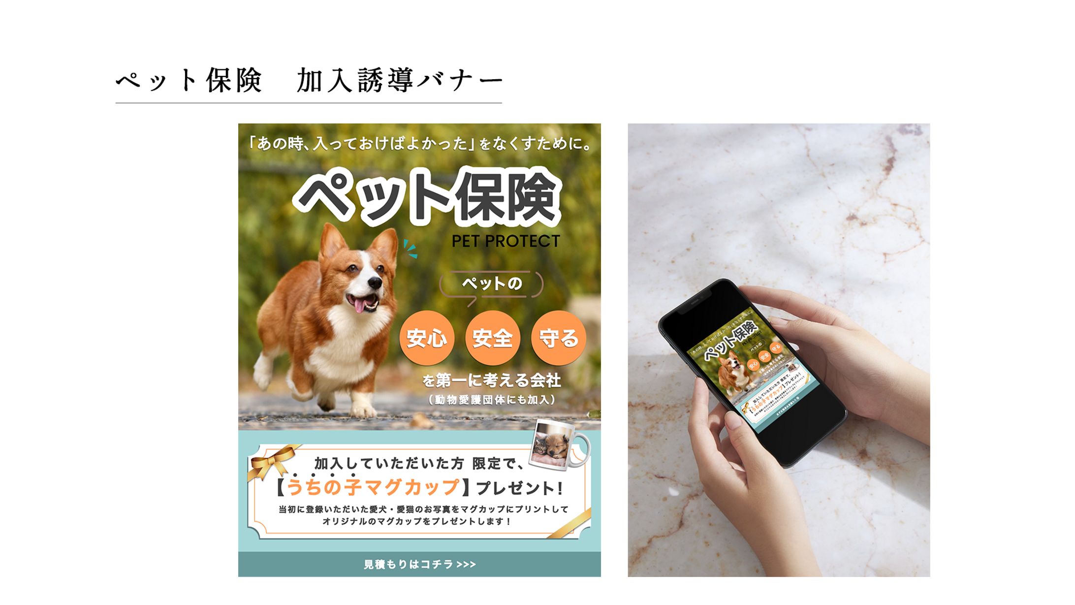 バナー：ペット保険-1