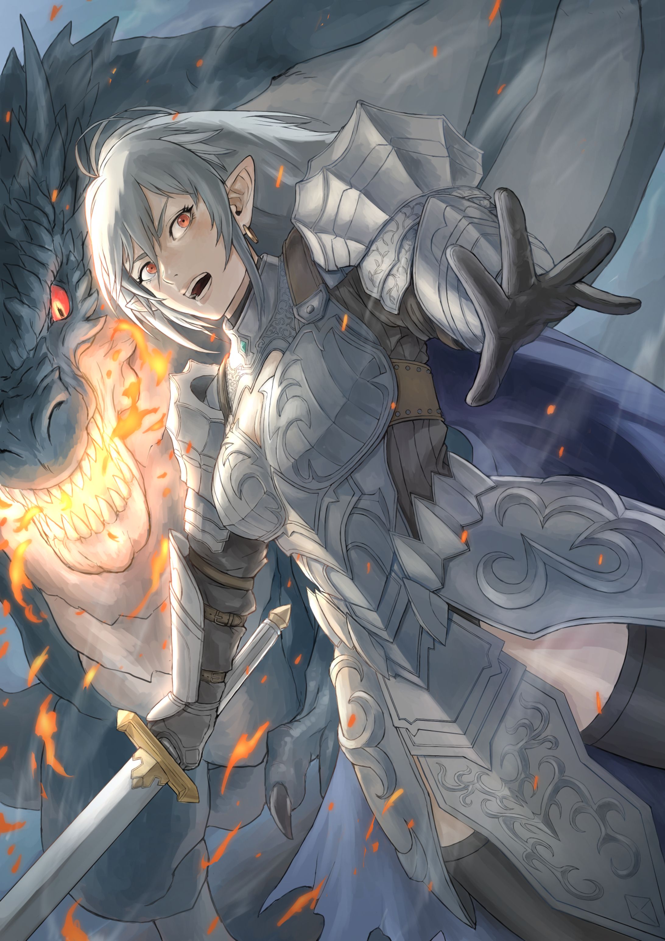 ドラゴンエルフ騎士-1
