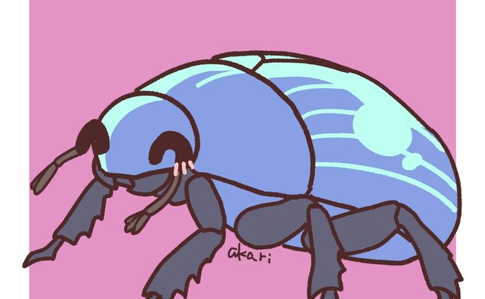 オオセンチコガネちゃん