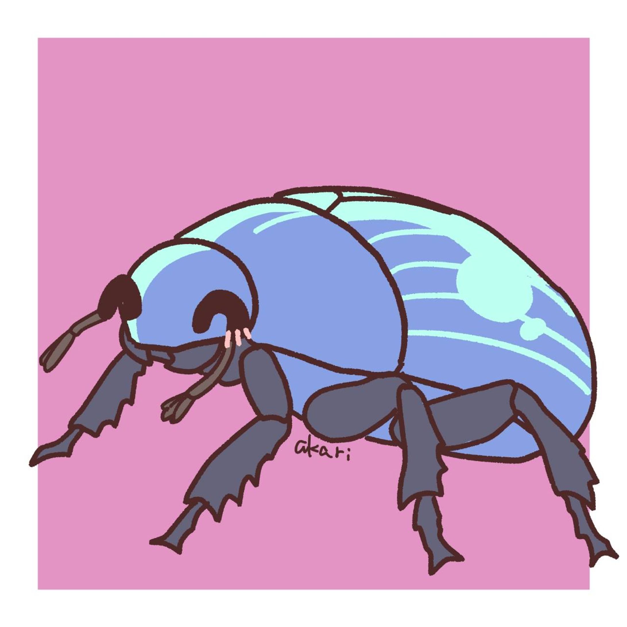 オオセンチコガネちゃん-1